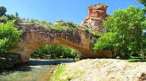 Amazing what nature is capable of!